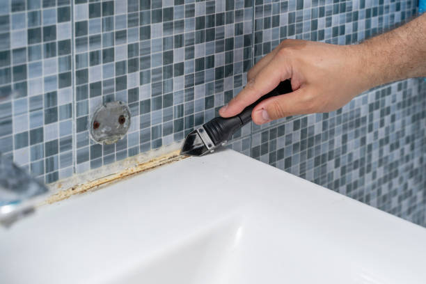 Best Mold Remediation for Specific Building Types in Porter, IN